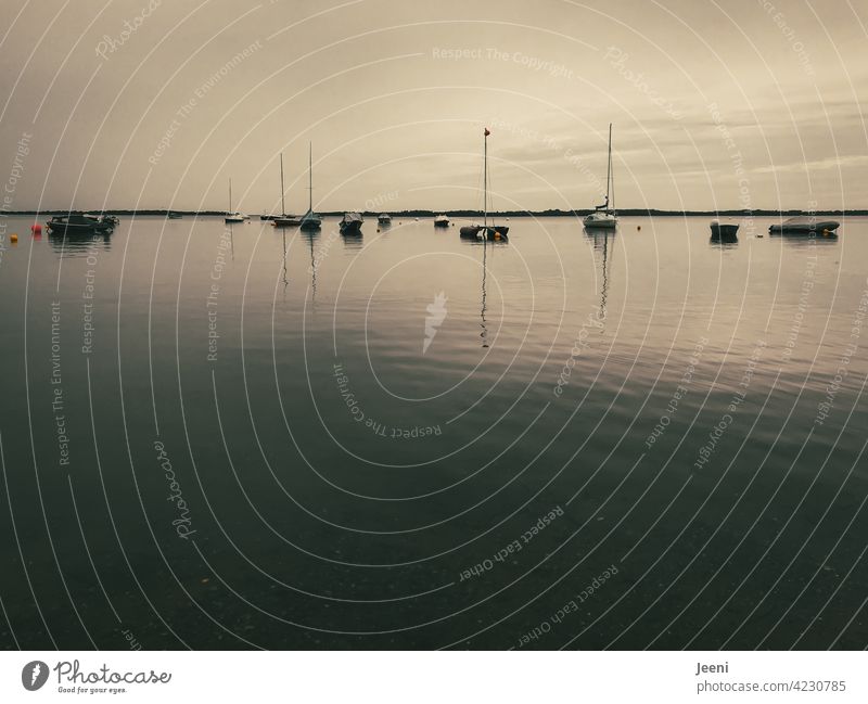 Ankern im stillen Salzhaff Ostsee Boote liegen sacht Stille Wasser ruhig Natur Landschaft Erholung Ruhe Reflexion & Spiegelung Ferien & Urlaub & Reisen Idylle