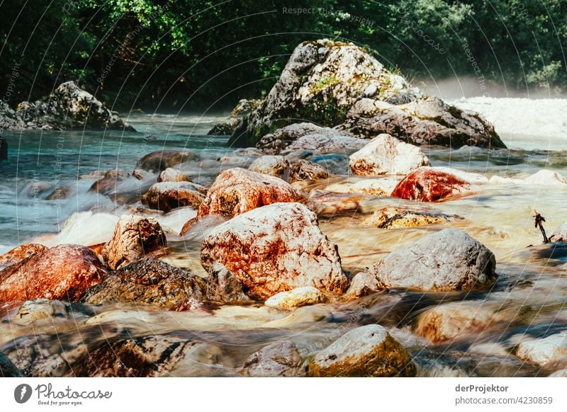 Morgens im Triglav National Park: Soca mit Steinen Fluss soca Reinheit Wanderausflug Licht Tag Ausflug Tourismus Naturschutz Ferien & Urlaub & Reisen