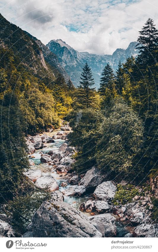 Wald mit Bergen und Soča-Tal IX Starke Tiefenschärfe Lichterscheinung Kontrast Schatten Textfreiraum Mitte Textfreiraum unten Textfreiraum rechts