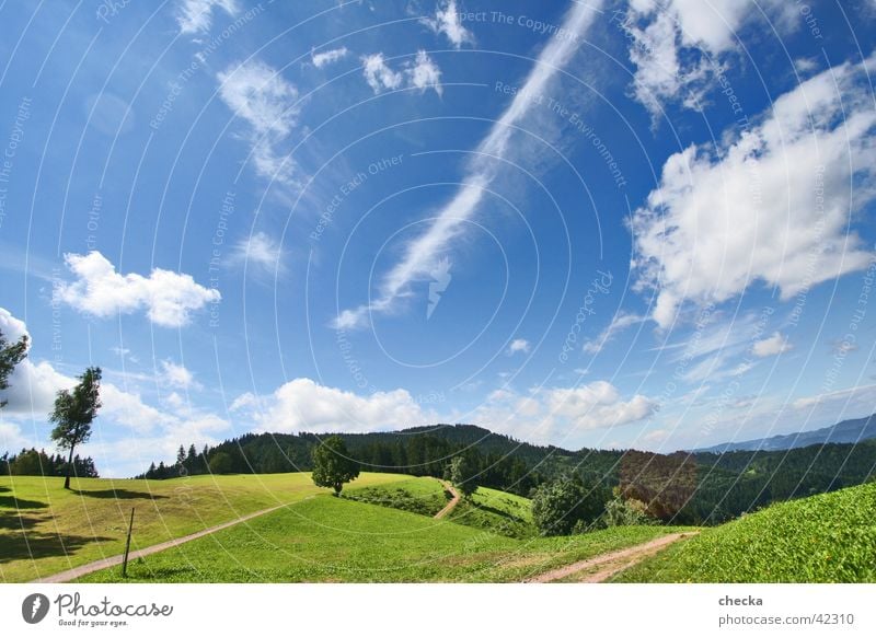 Bilderbuchlandschaft Freizeit & Hobby Ferien & Urlaub & Reisen Sommer Sonne Berge u. Gebirge Landschaft Himmel Wolken Wiese Wald frisch blau Freude Glück