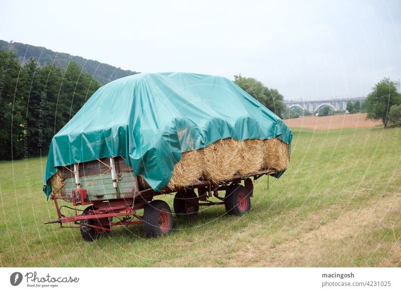 Heuwagen auf einem Feld Stroh Landwirtschaft Agrarwirtschaft Landschaft Außenaufnahme Ernte Erntedankfest Ackerbau Bauernhof Natur Wiese Anhänger Umwelt Kipper