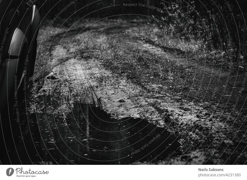 Abweichen von der Straße PKW Laufwerk dreckig Pfütze Wald Regen Passagier gegen Hintergrund Sommer Landschaft erhalten schlammig Natur Schlamm aus Abenteuer