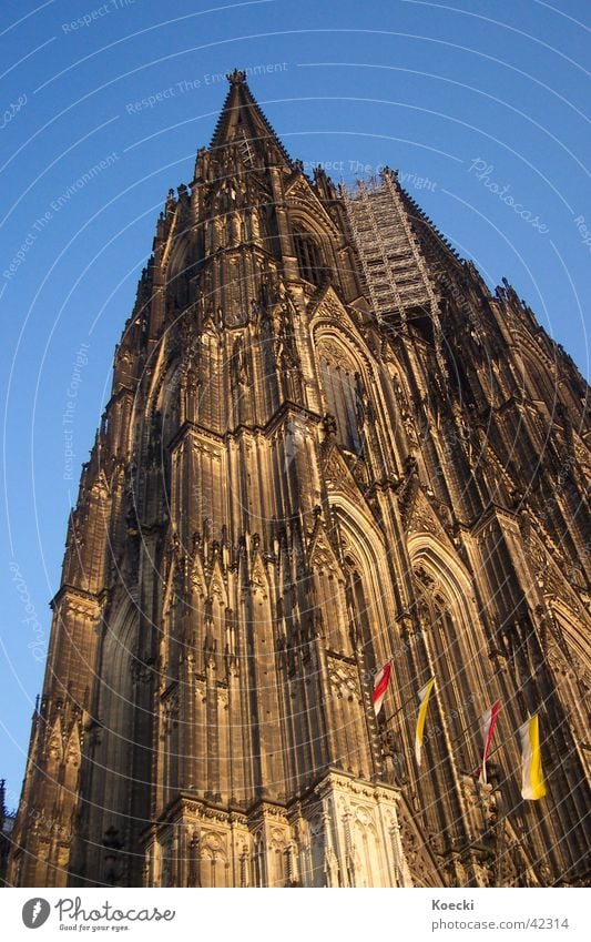 D’r Dom in Kölle Farbfoto Außenaufnahme Tag Dämmerung Licht Schatten Kontrast Rücken Kirche Turm Fassade Sehenswürdigkeit Wahrzeichen Religion & Glaube