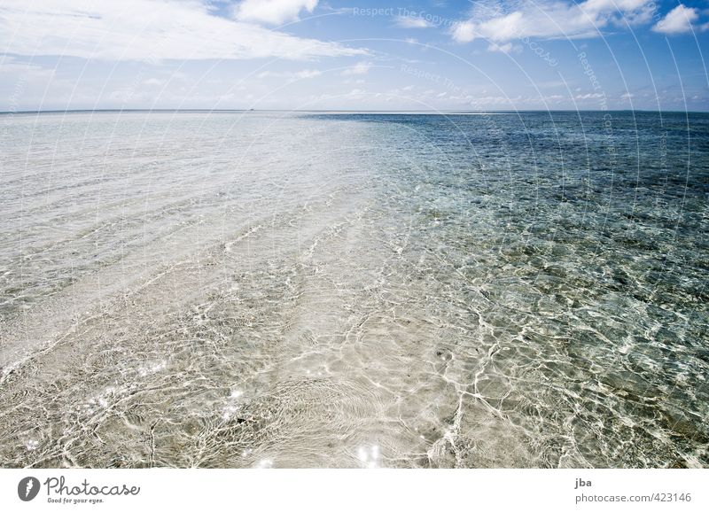 seicht Wohlgefühl Zufriedenheit Erholung ruhig Ferien & Urlaub & Reisen Ferne Sommer Sommerurlaub Strand Meer Insel Wellen Natur Landschaft Urelemente Wasser