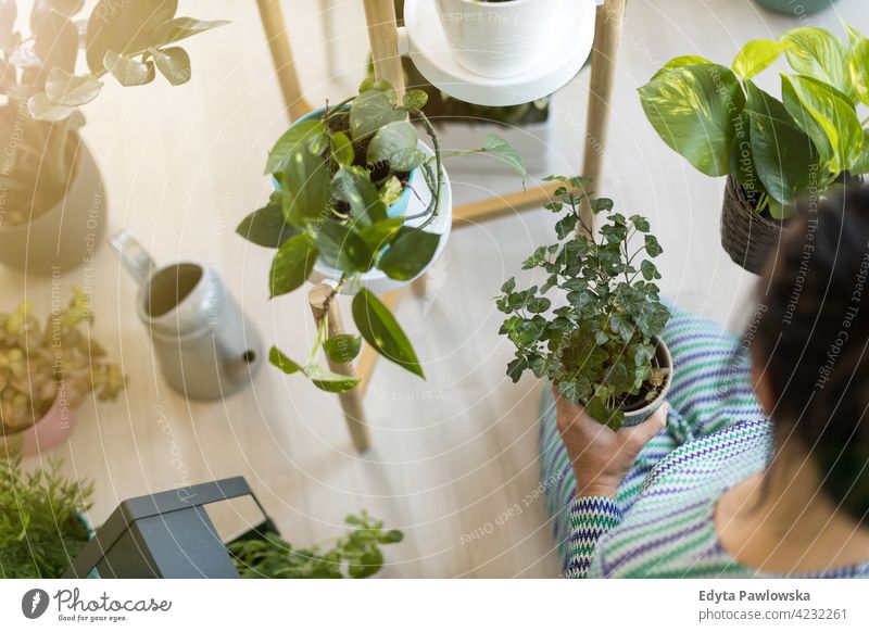 Junge Frau, die sich um ihre Topfpflanzen zu Hause kümmert Floristik Pflege Gesundheit Blüte Gartenbau Flora botanisch Dekoration & Verzierung Botanik wachsen