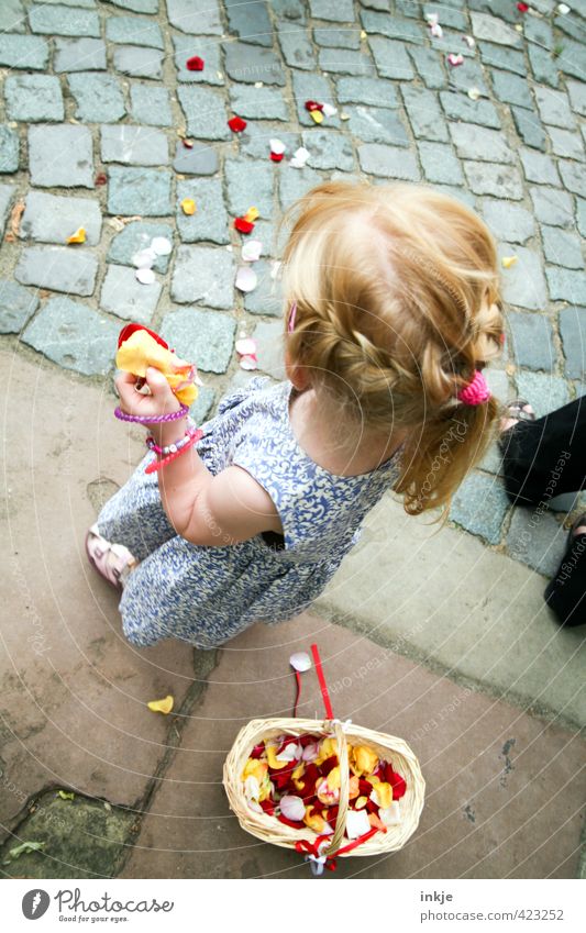 Blumenmädchen III Feste & Feiern Hochzeit Kleinkind Mädchen Kindheit Leben Körper Haare & Frisuren 1 Mensch 3-8 Jahre Sommer Blüte Blütenblatt Kleid blond