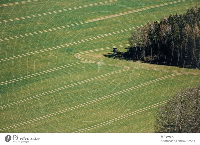 feldversuch Feld Ackerbau Landwirtschaft Spuren Waldrand von oben Vogelperspektive grün Bauer Gras Landschaft Wiese Agrarwirtschaft hochstand Jägersitz