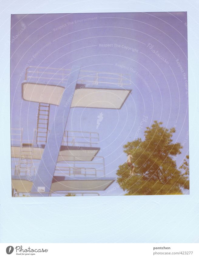 Polaroid. Blauer Sprungturm blauer Himmel, grüner Baum. Freiheit, Mut Freizeit & Hobby maskulin Junge Kindheit Jugendliche springen Sprungbrett Schwimmbad