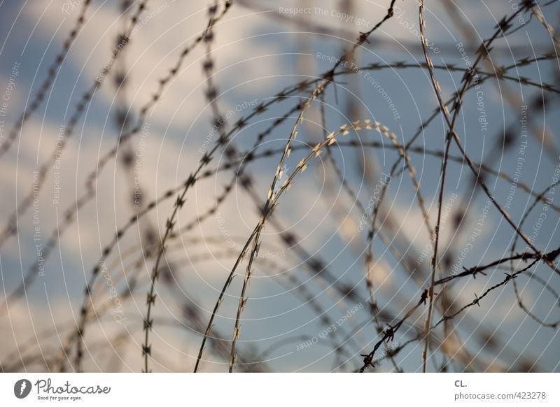 stacheldraht Himmel Wolken Schönes Wetter bedrohlich stachelig Angst gefährlich Schutz Sicherheit Stacheldraht Zaun Grenze Schmerz Draht Zutritt verboten