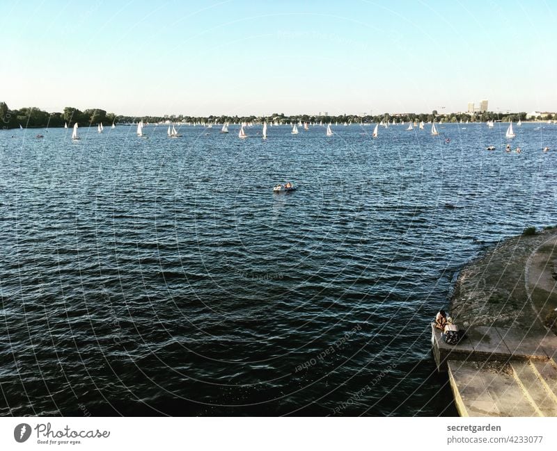 sich im Wasser verlieren flüssig Alster Hamburg Schiffe pittoresk Boote Segelboote Horizont Ufer Seeufer weit entfernt Schönes Wetter Himmel Farbfoto