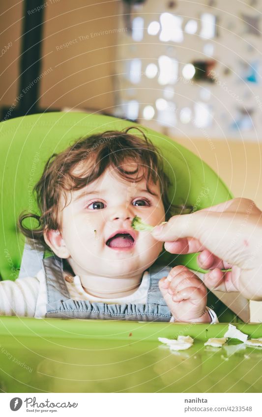 Baby isst Essen in ihrem grünen Hochstuhl blw Baby-Bleiwatte Gemüse Lebensmittel Brokkoli Veganer Vegetarier Gesundheit Diät weiß Kaukasier Beikost füttern