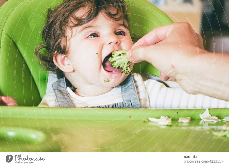 Baby isst Essen in ihrem grünen Hochstuhl blw Baby-Bleiwatte Gemüse Lebensmittel Brokkoli Veganer Vegetarier Gesundheit Diät weiß Kaukasier Beikost füttern