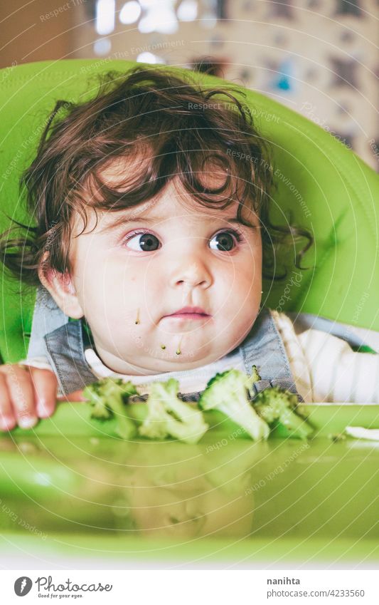 Baby isst Essen in ihrem grünen Hochstuhl blw Baby-Bleiwatte Gemüse Lebensmittel Brokkoli Veganer Vegetarier Gesundheit Diät weiß Kaukasier Beikost füttern