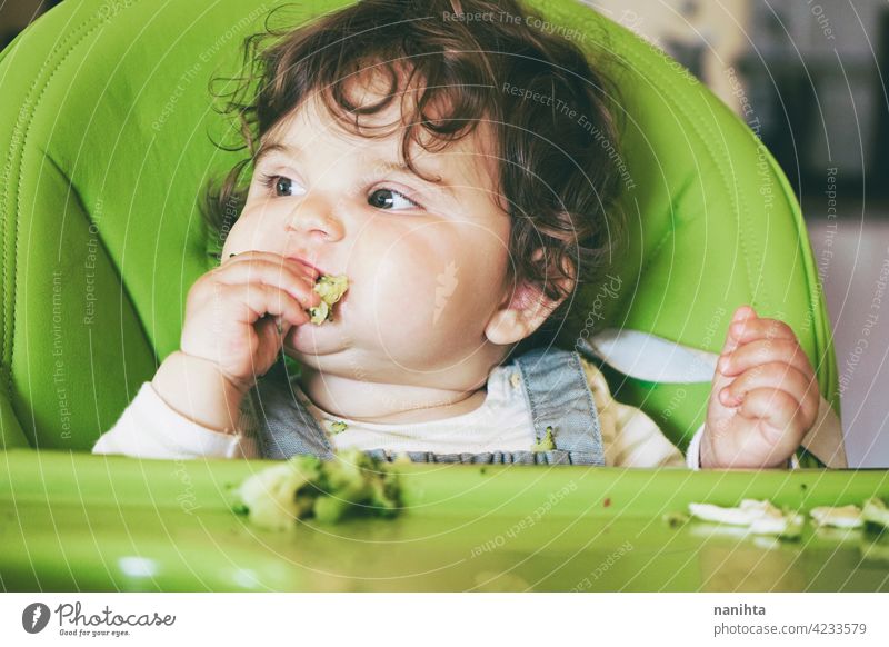 Baby isst Essen in ihrem grünen Hochstuhl blw Baby-Bleiwatte Gemüse Lebensmittel Brokkoli Veganer Vegetarier Gesundheit Diät weiß Kaukasier Beikost füttern