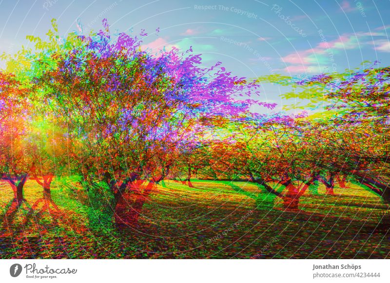 Baum Plantage Glitch Effekt Natur Landschaft Außenaufnahme Menschenleer Umwelt Farbfoto Umweltschutz nachhaltig glitch effect Anaglyph fehler bunt hintergrund