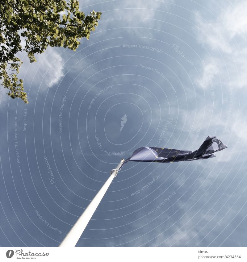 Wind über Land landschaft himmel baum wolken fahne wind fahnenmast wehen flattern sonnig schönes wetter Froschperspektive kaputt gerissen europafahne