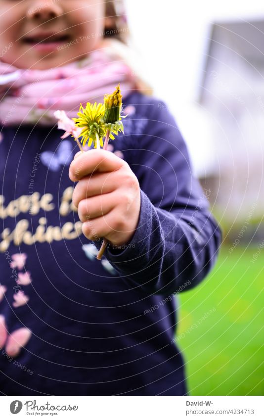 Kind hält selbstgepflückte Blumen in der Hand Blumenstrauß halten niedlich Muttertag Geschenk schenken natürlich Liebe blumengruß Mädchen