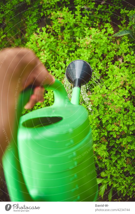 mit der Gießkann Pflanzen wässern Gießkanne gießen Sommer trockenheit gärtnern Garten Hand Wasser grün Gartenarbeit