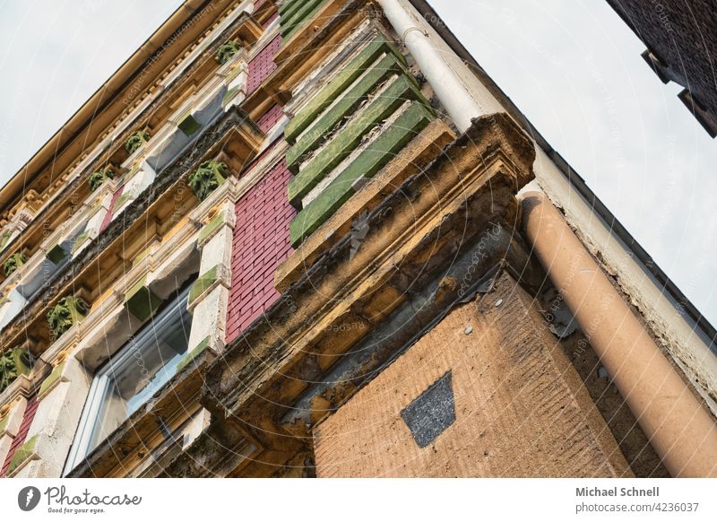 Fassade eines alten Hauses - Stil: Gründerzeit altehrwürdig Wand Architektur Gebäude gründerzeit Gruenderzeithaus Großstadt Außenseite buntes Haus