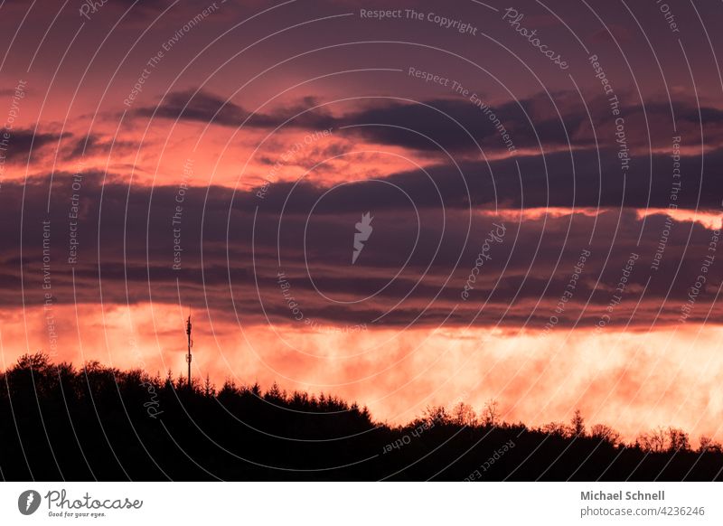 Sonnenuntergang - fast wie Feuer am Horizont Sonnenuntergangsstimmung Sonnenuntergangslandschaft Sonnenuntergangshimmel Sonnenuntergangslicht Außenaufnahme