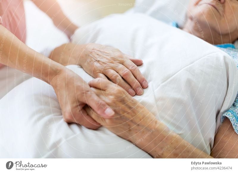 Tochter besucht ihre ältere Mutter im Krankenhaus Familie Liebe Zusammensein besuchen Partnerschaft Freundlichkeit Zwei Personen Unterstützung Vertrauen