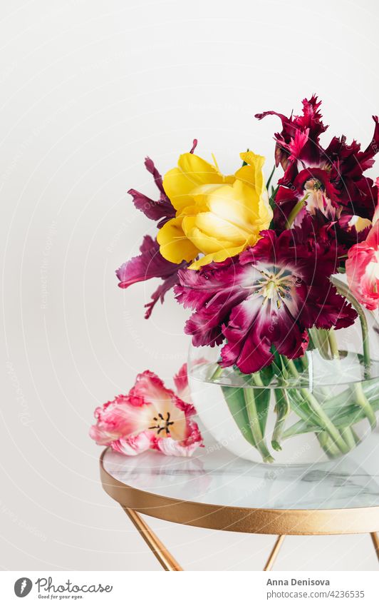 Strauß Papagei Stil Tulpen Blume Papageien-Tulpe Blumenstrauß Vase Blumenkollektionen Frühlingsblüte frisch präsentieren Geschenk Anlass Feiertag festlich