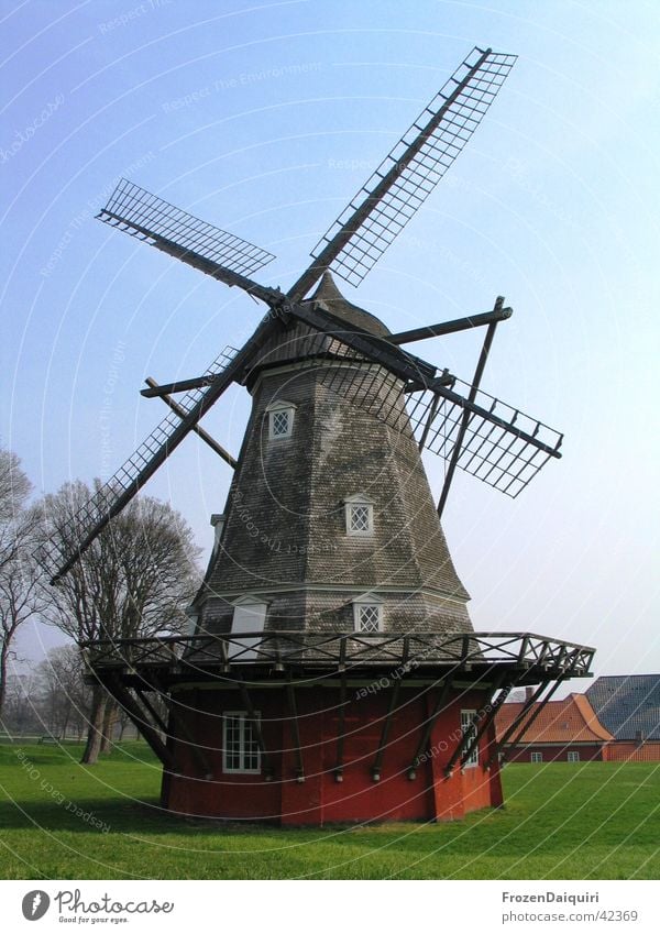 Windmühle Holz Kunst Sightseeing historisch Kopenhagen Dänemark Holzmehl zerkleinern Mehl Wiese Baum Europa Sehenswürdigkeit alt copenhagen old windmill meadow