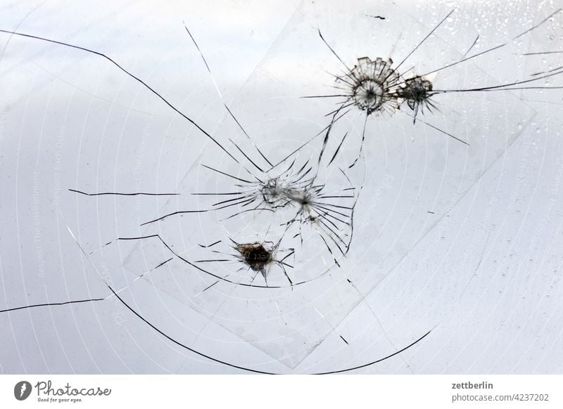 Löcher in der Scheibe fenster kaputt loch reparatur scheibe spider app sprung steinwurf fensterscheibe glasscheibe riss vandalismus steinschlag flicken geflickt