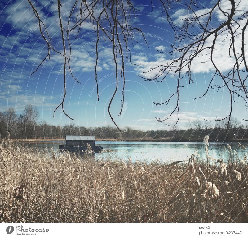 Abwarten Hausboot Wasseroberfläche Wasserfahrzeug Weite Idylle Ruhe See Reflexion & Spiegelung Natur draußen Außenaufnahme Himmel Wolken ruhig Umwelt Landschaft