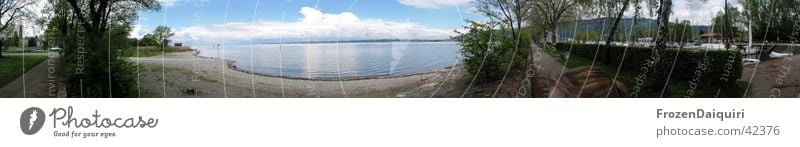 Bodenseepanorama Bregenz Strand See Baum Promenade Wolken Reflexion & Spiegelung Bundesland Vorarlberg Panorama (Aussicht) Wasser Wege & Pfade Segelboothafen