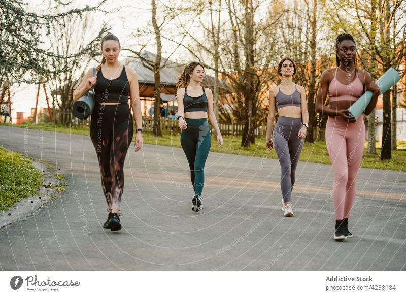 Gruppe von Sportlern, die gemeinsam eine Straße entlang gehen Sportlerinnen Menschengruppe Athlet Zusammensein passen Spaziergang Park Training Freund Sommer