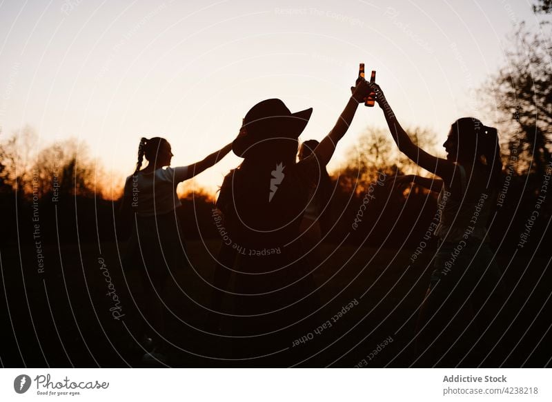 Gesellschaft von multirassischen Freundinnen, die bei Sonnenuntergang im Park auf Flaschen anstoßen Klirren Frauen Unternehmen Sommer Bier Kälte Spaß haben