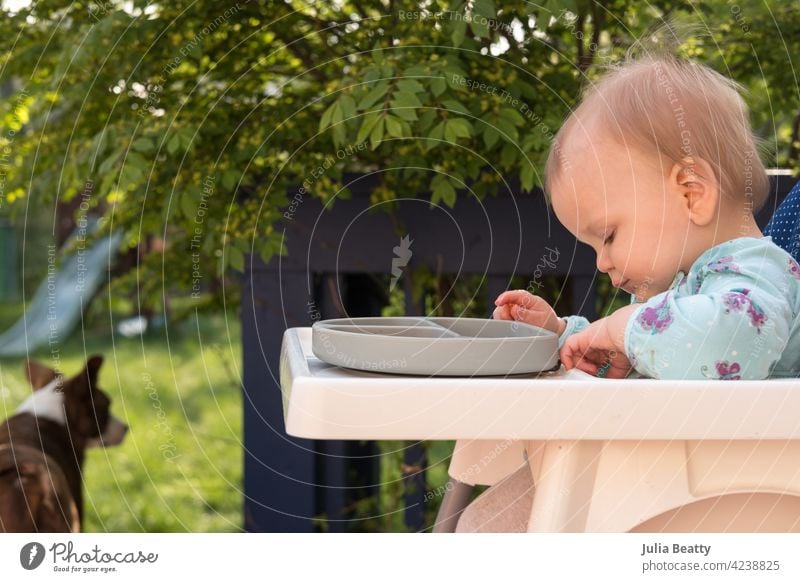 Ein Jahr altes Baby, das draußen im Garten isst, während es im Hochstuhl sitzt; Terrasse und Haushund im Hintergrund Kleinkind Kind 6-12 Monate alt 1 Jahr alt