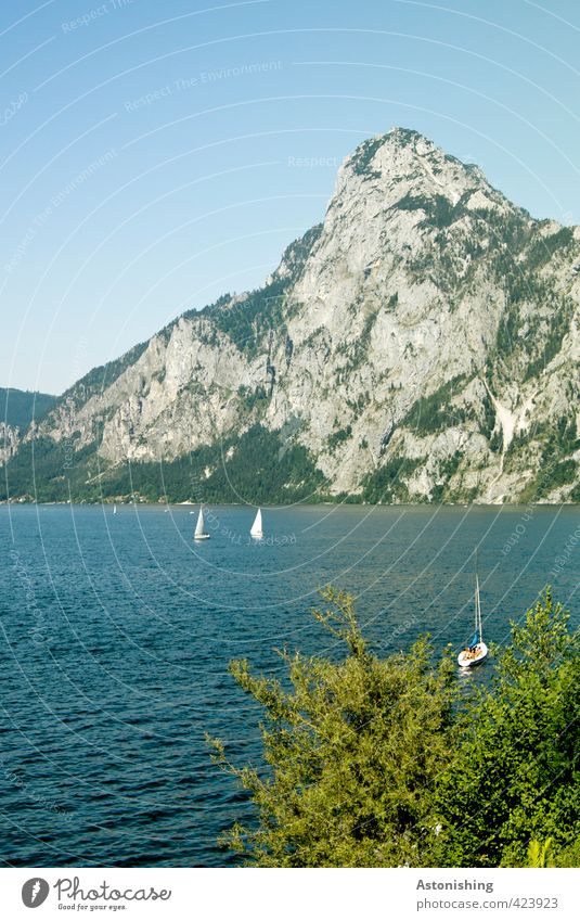 Traunstein Segeln Umwelt Natur Landschaft Pflanze Wasser Himmel Wolkenloser Himmel Sommer Wetter Schönes Wetter Wärme Baum Blatt Alpen Berge u. Gebirge Gipfel