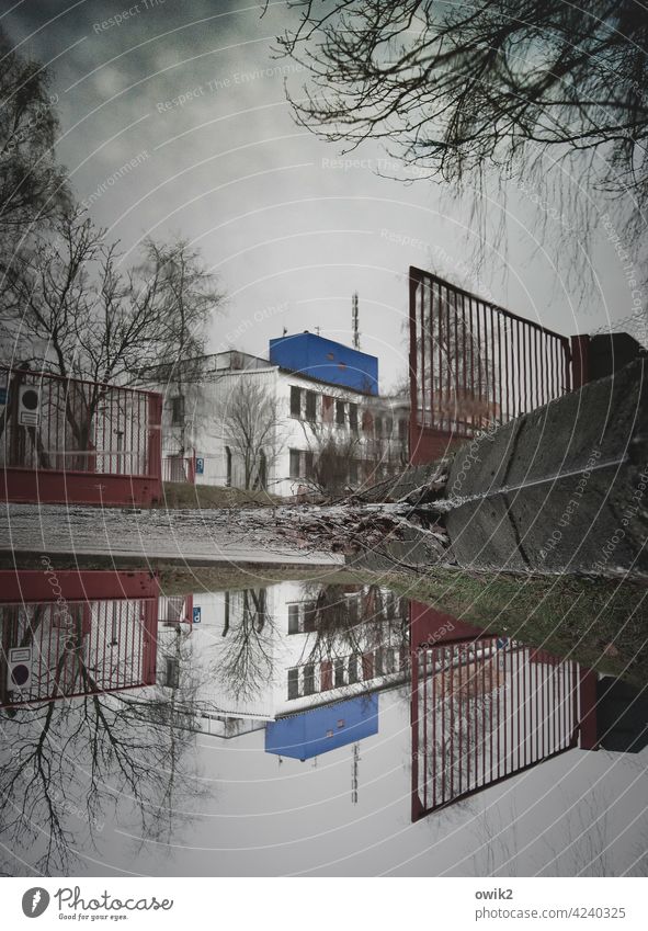 Weit im Osten Pfütze Spiegelbild Asphalt Zaun Außenaufnahme Reflexion & Spiegelung Gebäude Haus Fenster Straße Baum Winter Wasser Luft Farbfoto Idylle ruhig