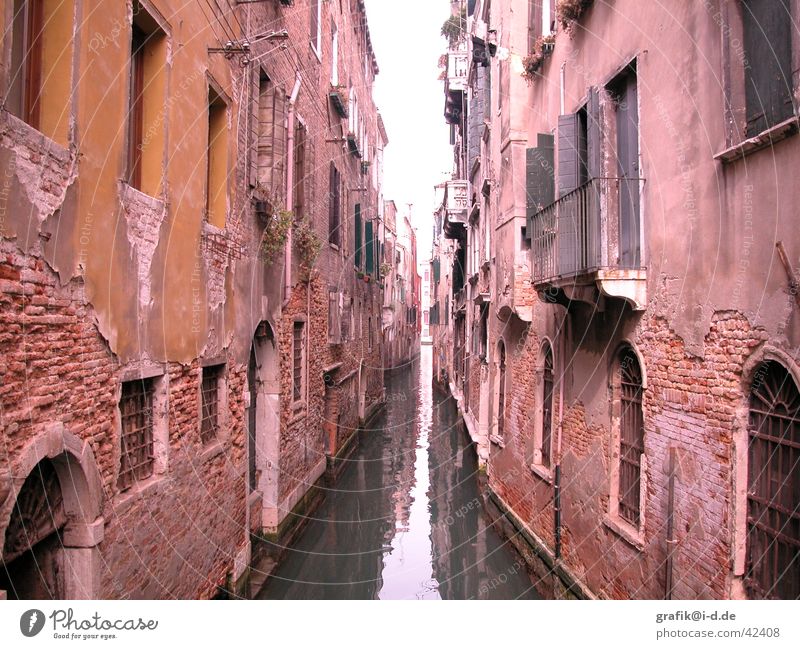 venedig Venedig Haus Gebäude Fenster Licht Richtung vorwärts Architektur venezia Wasser canale Abwasserkanal Fluss Graffiti