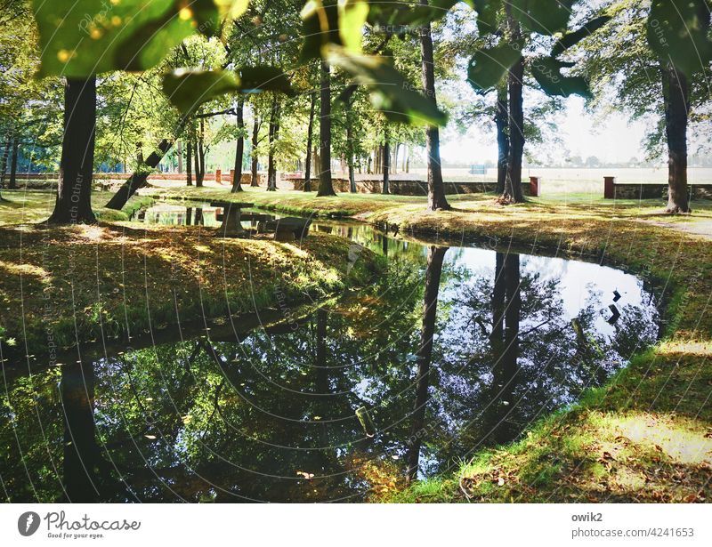 Parkbucht Sträucher Baum Wasser Landschaft Natur Umwelt Wald Bach Idylle ruhig Windstille friedlich Zweige u. Äste Kurve Schmochtitz Lausitz Deutschland