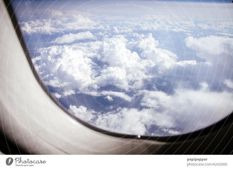 über den Wolken Flugzeug Fluggerät Flugzeugkabine Luftverkehr Himmel fliegen Ferien & Urlaub & Reisen blau Flugzeugausblick Außenaufnahme Passagierflugzeug