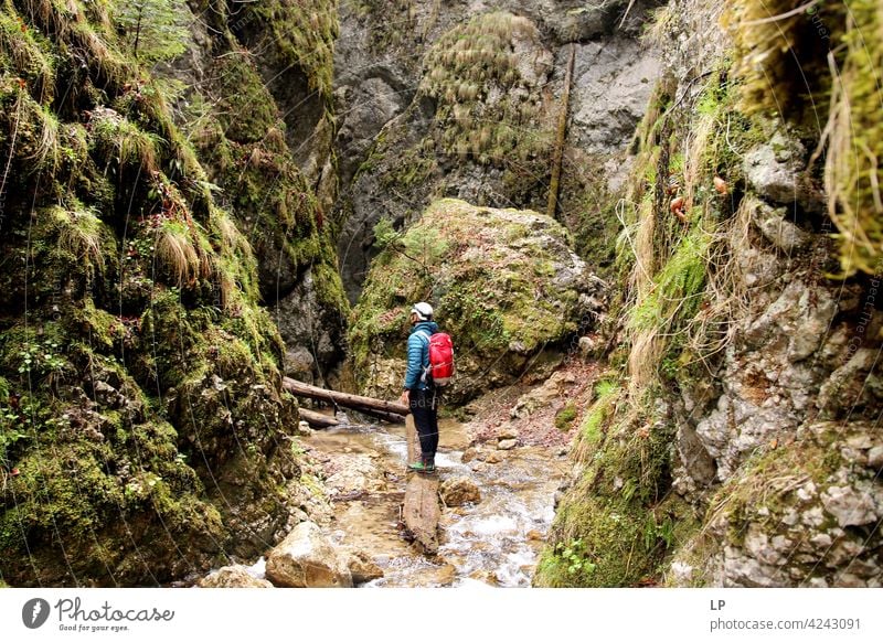 Mann, der einen Berg vor sich sieht Spitzenwerte Himmel aktiv im Freien Lifestyle Blick Tourismus malerisch Saum Top Urlaub Freizeit wandern Erwachsener Berge