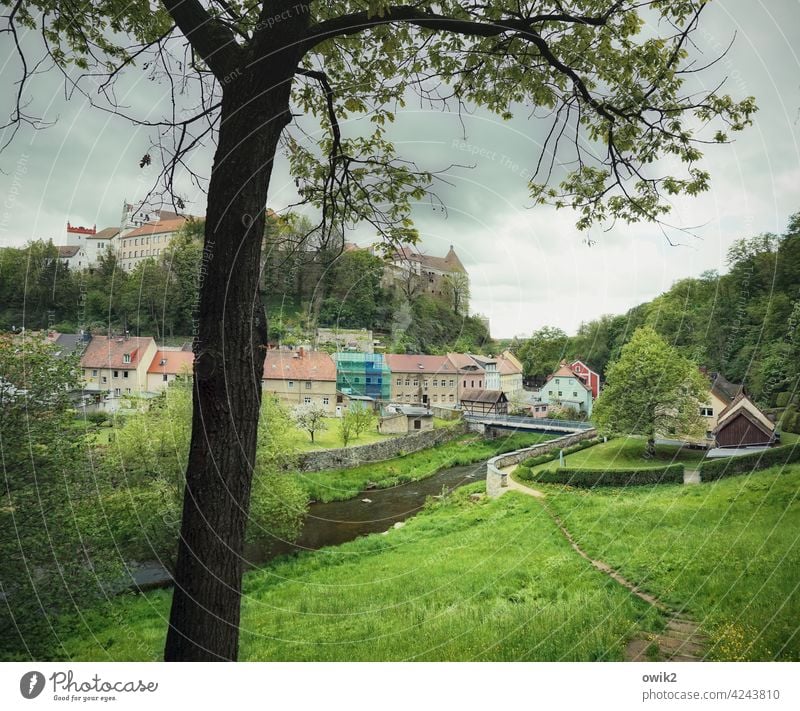 Spreebogen Bautzen Lausitz Deutschland Gras Baum Pflanze Sträucher Horizont Himmel Wolken Landschaft Textfreiraum unten Bauwerk Gebäude Architektur