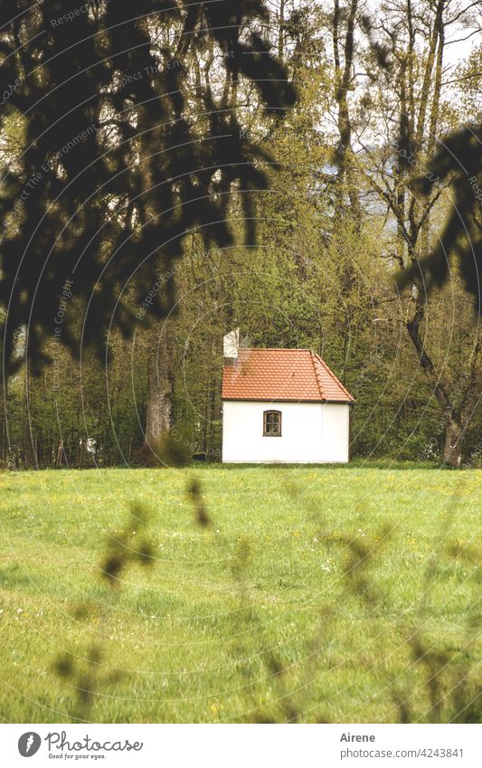 Bittstelle Kapelle Idylle Wiese grün Religion & Glaube Hoffnung Kirche Weide Landschaft Waldrand einsam Trost Gebet beten Christentum Spiritualität Natur Gras