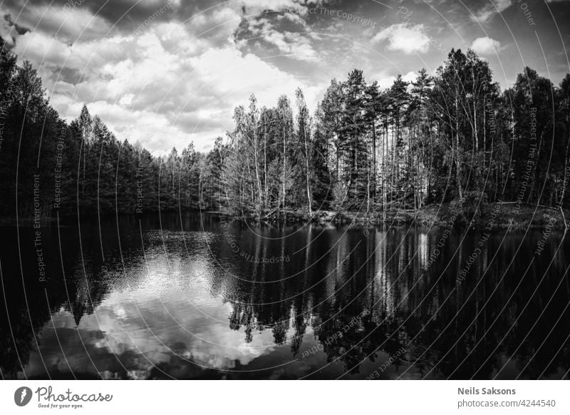 Waldsee-Ansicht, glatte Oberfläche eines Sees mit Wolken reflektiert, leuchtende Ebene eines Waldsees Wasser Landschaft Himmel Natur Reflexion & Spiegelung