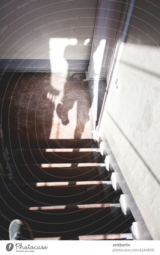 Schatten auf der Treppe absatz abstieg abwärts altbau aufstieg aufwärts fenster geländer haus licht mann mehrfamilienhaus mensch menschenleer mietshaus schatten