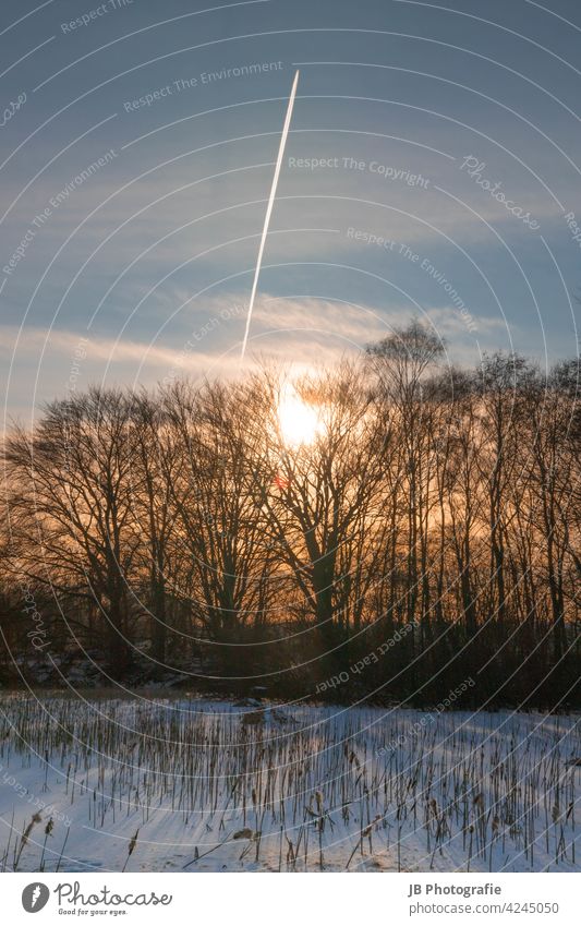 Sonnenuntergang im Winter Schnee Eis Frost Natur Bäume im See Im Freien Kälte Flugzeug Rakete Schilf Schilfrohr Landschaft gefroren gefrorener See weiß stille