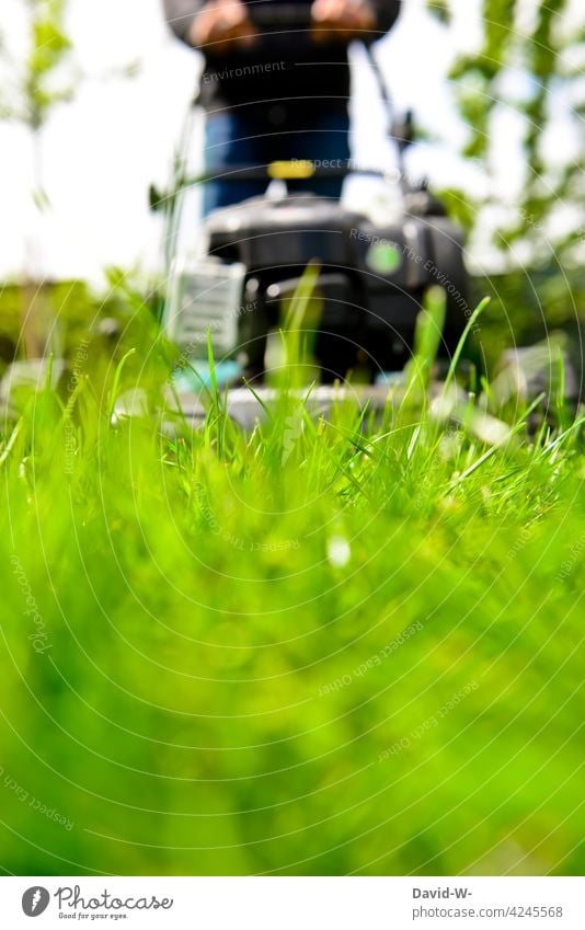 mit dem Rasenmäher den Rasen mähen Mann starten Gartenarbeit Pflege Gras grün rasenmähen