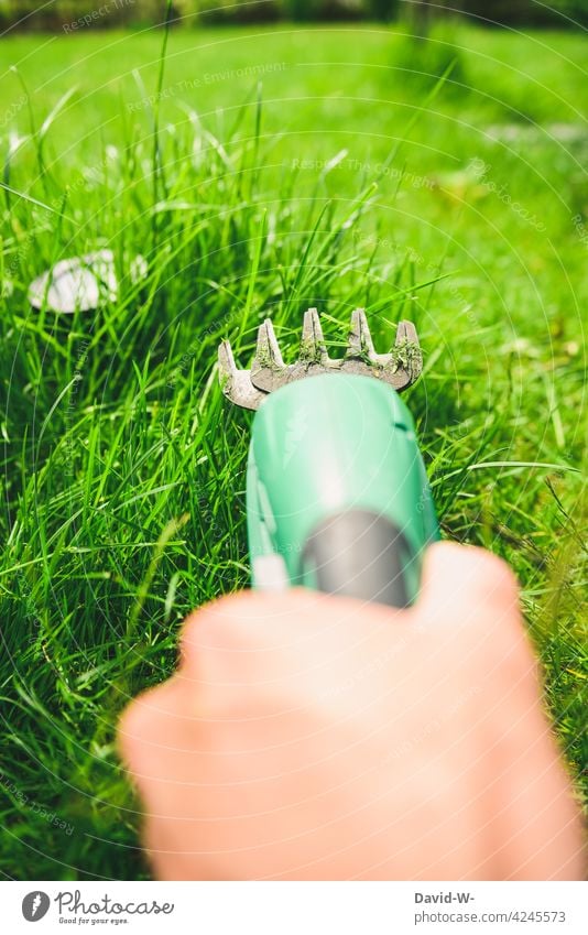 den Rasen trimmen Garten Gartenarbeit Rasentrimmer gärtnern Genauigkeit penibel akora akkurat Mann schneiden Gärtner grün