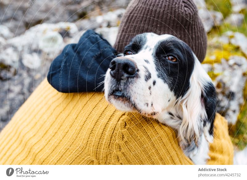 Gehorsamer Hund und Besitzer in Umarmung in den Bergen Umarmen reisen Natur Berge u. Gebirge Zusammensein Liebe schließen Art Freund heimisch Begleiter