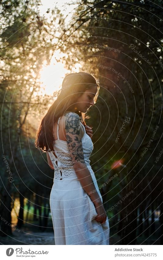 Junge Frau zwischen Bäumen im Sonnenuntergang träumen Wald weißes Kleid Windstille Wälder Baum ruhig Sommer Abend Einsamkeit Frieden sanft friedlich