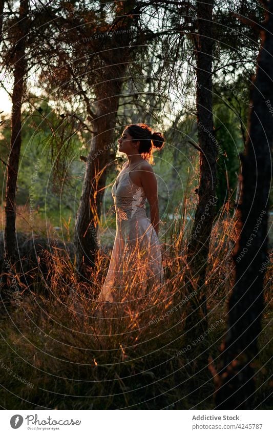 Junge Frau zwischen Bäumen im Sonnenuntergang träumen Wald weißes Kleid Windstille Wälder Baum ruhig Sommer Abend Einsamkeit Frieden sanft friedlich