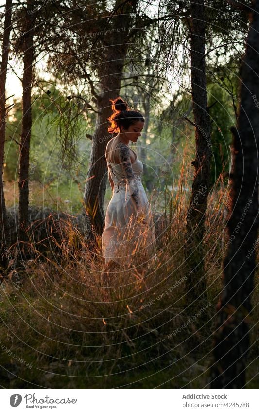 Junge Frau zwischen Bäumen im Sonnenuntergang träumen Wald weißes Kleid Windstille Wälder Baum ruhig Sommer Abend Einsamkeit Frieden sanft friedlich